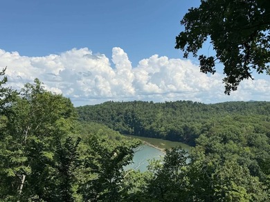 Don't miss this beautiful 0.69+/- acre lakeview lot overlooking - photo 9