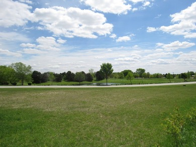 (private lake, pond, creek) Lot For Sale in Frankfort Illinois
