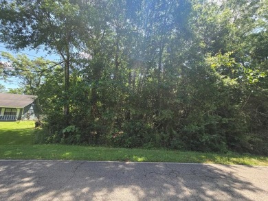 Lake Lot For Sale in Carriere, Mississippi