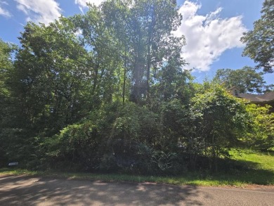 Lake Lot For Sale in Carriere, Mississippi