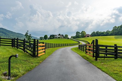 (private lake, pond, creek) Home For Sale in Johnson City Tennessee