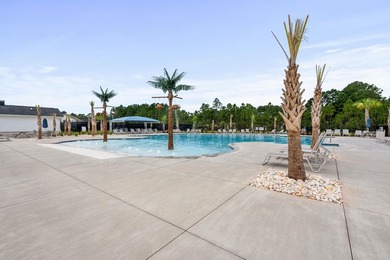 Welcome to 136 Azure Loop in Myrtle Beach, a beautifully - photo 60