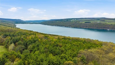 Keuka Lake Eastside! Situated in the heart of the Finger Lakes - photo 3