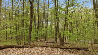 Keuka Lake Eastside! Situated in the heart of the Finger Lakes - photo 4