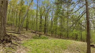 Keuka Lake Eastside! Situated in the heart of the Finger Lakes - photo 5