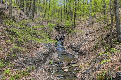 Keuka Lake Eastside! Situated in the heart of the Finger Lakes - photo 6