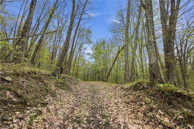 Keuka Lake Eastside! Situated in the heart of the Finger Lakes - photo 7
