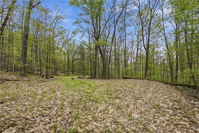 Keuka Lake Eastside! Situated in the heart of the Finger Lakes - photo 8