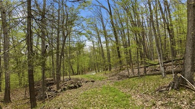 Keuka Lake Eastside! Situated in the heart of the Finger Lakes - photo 9
