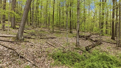 Keuka Lake Eastside! Situated in the heart of the Finger Lakes - photo 10