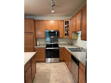 Welcome to Creekside in Edina, where upscale, maintenance-free - photo 3