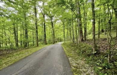 Private 36-Acre Lakefront Getaway! Call Josh! - photo 15