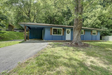 Lake Home For Sale in Gray, Tennessee