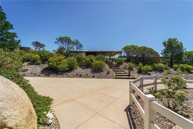40230 Crazy Horse Canyon Rd - photo 7