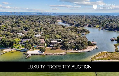 LUXURY PROPERTY AUCTION: 14-28 July. Accepting starting bids - photo 1