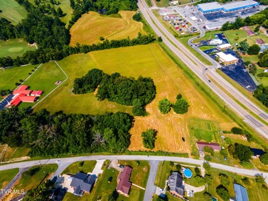 Holston River - Hawkins County Acreage For Sale in Church Hill Tennessee