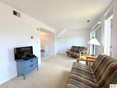 LAKE LIVING AT IT'S BEST ! UNIT R-7 Whether you're an avid - photo 12