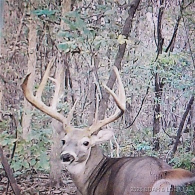 Lake of the Ozarks Acreage For Sale in Roach Missouri