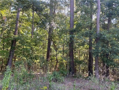 Rockdale Lake Lot For Sale in Conyers Georgia