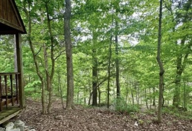 Private 36-Acre Lakefront Getaway! Call Josh! - photo 12