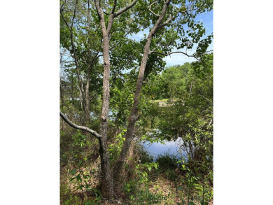 Lake Lot For Sale in Lumberton, Mississippi