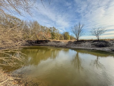 Flooding Timber and Habitat on the L'Anguille River. In the - photo 12