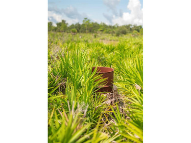 *The moment I stepped onto this land, I felt a connection to - photo 12