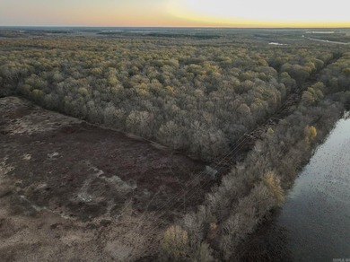Flooding Timber and Habitat on the L'Anguille River. In the - photo 13
