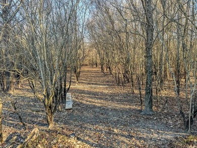 Flooding Timber and Habitat on the L'Anguille River. In the - photo 16