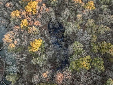 Flooding Timber and Habitat on the L'Anguille River. In the - photo 19