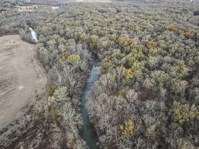 Flooding Timber and Habitat on the L'Anguille River. In the - photo 20