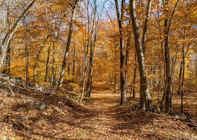Discover an extraordinary 320+ acre legacy property in Putnam - photo 21