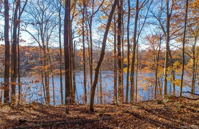 Discover an extraordinary 320+ acre legacy property in Putnam - photo 22