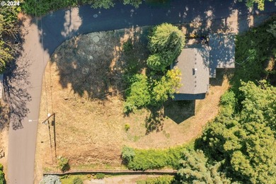 Historic Canemah District lot in Oregon City overlooking the - photo 4