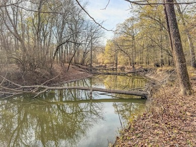 Flooding Timber and Habitat on the L'Anguille River. In the - photo 25