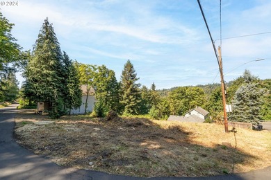 Historic Canemah District lot in Oregon City overlooking the - photo 7