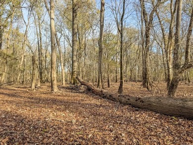 Flooding Timber and Habitat on the L'Anguille River. In the - photo 28