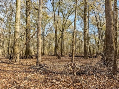 Flooding Timber and Habitat on the L'Anguille River. In the - photo 29