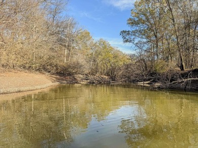 Flooding Timber and Habitat on the L'Anguille River. In the - photo 31