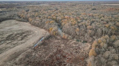 Flooding Timber and Habitat on the L'Anguille River. In the - photo 34