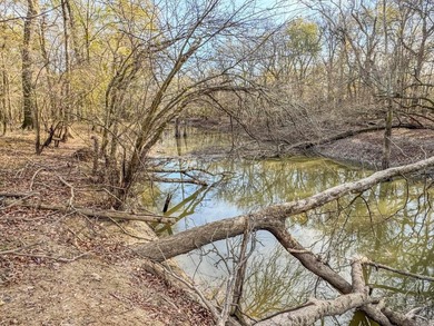 Flooding Timber and Habitat on the L'Anguille River. In the - photo 35