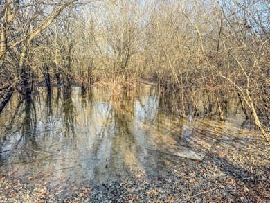 Flooding Timber and Habitat on the L'Anguille River. In the - photo 37