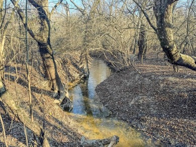 Flooding Timber and Habitat on the L'Anguille River. In the - photo 38