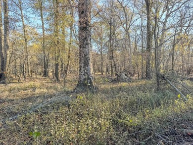 Flooding Timber and Habitat on the L'Anguille River. In the - photo 39