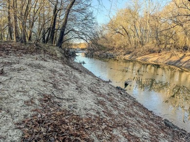 Flooding Timber and Habitat on the L'Anguille River. In the - photo 41