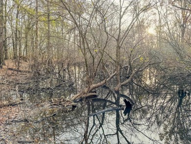 Flooding Timber and Habitat on the L'Anguille River. In the - photo 43