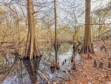 Flooding Timber and Habitat on the L'Anguille River. In the - photo 44