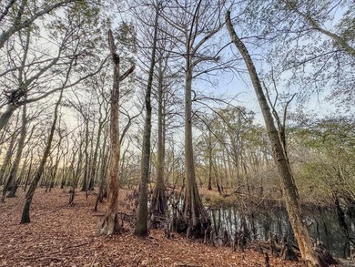 Flooding Timber and Habitat on the L'Anguille River. In the - photo 45