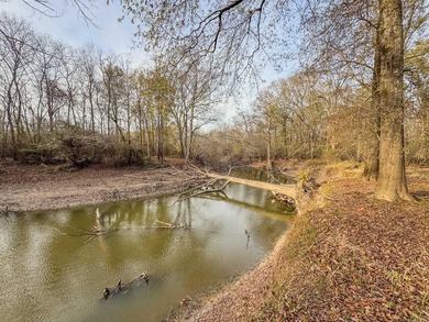 Flooding Timber and Habitat on the L'Anguille River. In the - photo 46