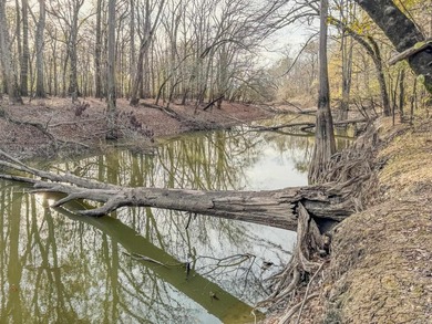 Flooding Timber and Habitat on the L'Anguille River. In the - photo 48
